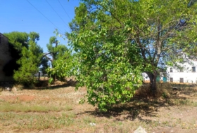 Linares 3806&nbsp;m² 