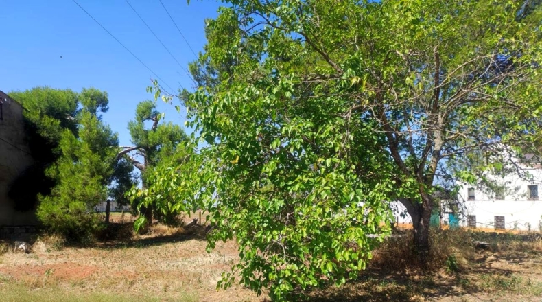 Jaén - Linares - 3806m2