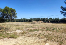 Linares 3806&nbsp;m² 