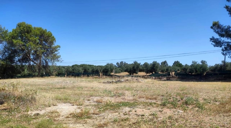 Jaén - Linares - 3806m2