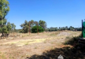 Casa de camp amb terreny en venda a la España, Linares, ref.: TR414041 foto