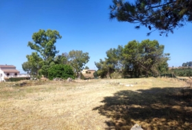 Linares 3806&nbsp;m² 