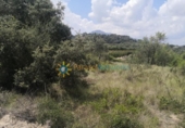 Terreno no urbanizable en venta en la España, Castelló de Rugat, ref: TR316800 foto