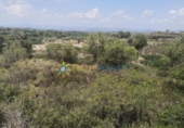 Terreno no urbanizable en venta en la España, Castelló de Rugat, ref: TR316800 foto