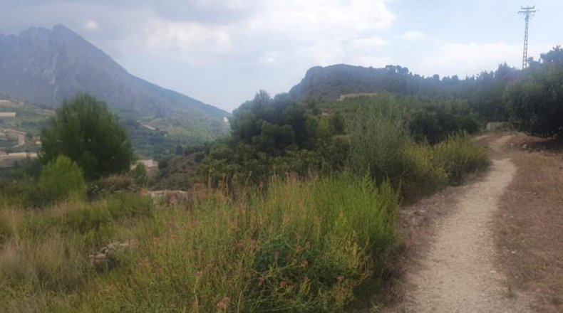 Alicante - Bolulla - 2382m2