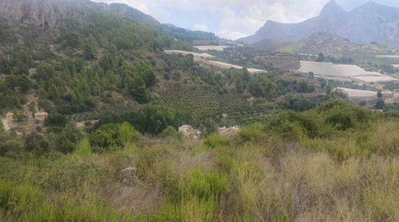 Alicante - Bolulla - 2382m2