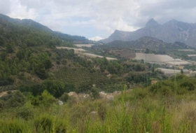 Bolulla 2382&nbsp;m²