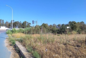 Puerto Real 10658&nbsp;m² 