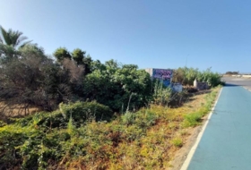 Puerto Real 10658&nbsp;m² 