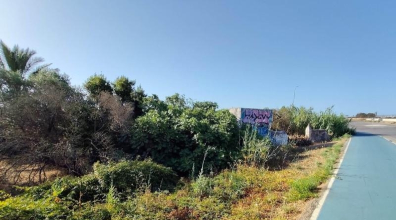 Cádiz - Puerto Real - 10658m2
