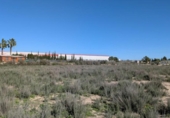 Terreno no urbanizable en venta en la España, Las Torres de Cotillas, ref: TR408442 foto