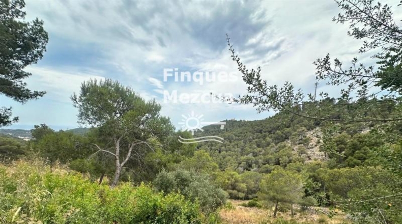 Barcelona - la Gornal - 896m2