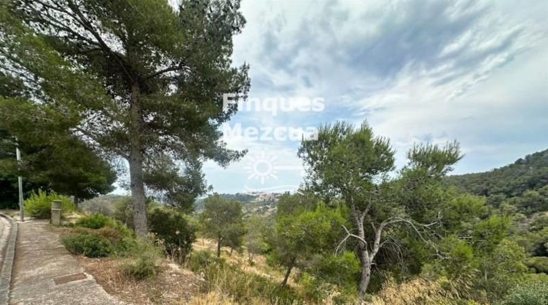 Barcelona - la Gornal - 896m2