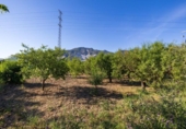 Terreno no urbanizable en venta en la España, Dúrcal, ref: TR414051 foto