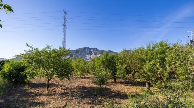 Granada - Dúrcal - 3152m2