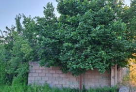 Gumiel de Mercado 2075&nbsp;m²