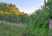 Urban land for sale on España, Gumiel de Mercado, ref: TR414045 photo