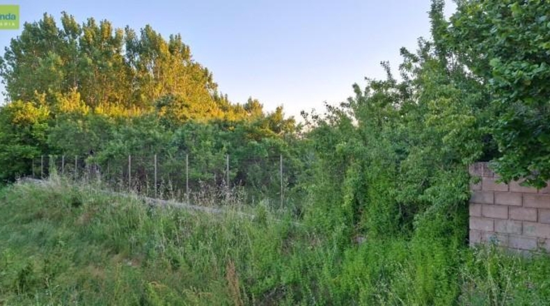 Burgos - Gumiel de Mercado - 2075m2