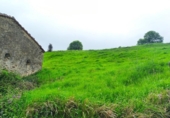 Земельный участок на продажу в городе Villacarriedo Фото