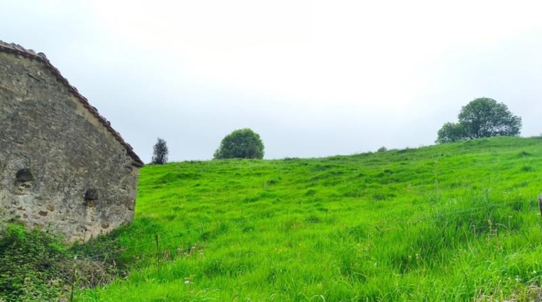 Cantabria - Villacarriedo - 13270m2