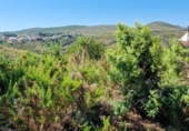 Parcela urbanizable en venta en la España, Turís, ref: TR315953 foto