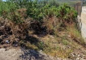 Parcela urbanizable en venta en la España, Turís, ref: TR315953 foto