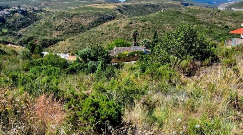 Alicante - Dolores - 1356m2