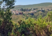 Parcela urbanizable en venta en la España, Turís, ref: TR315953 foto
