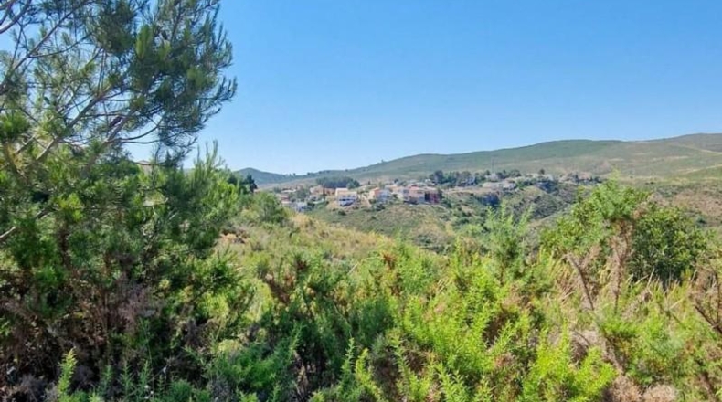 Alicante - Dolores - 1356m2