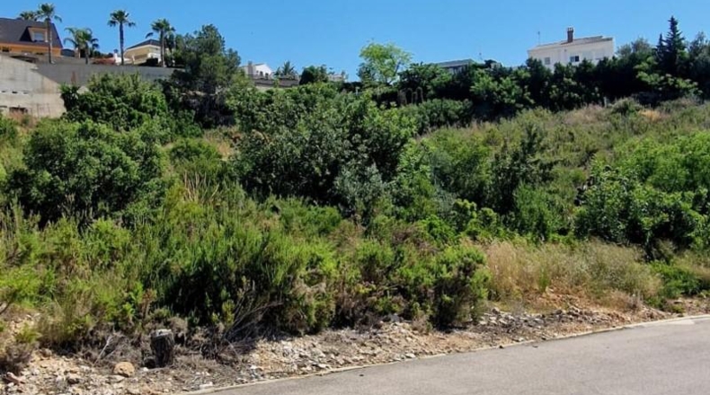 Alicante - Dolores - 1356m2
