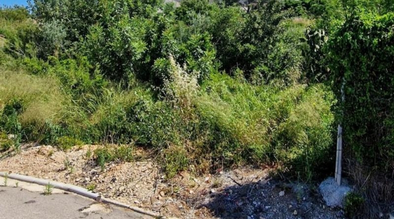Alicante - Dolores - 1356m2