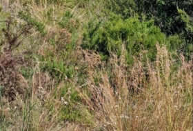 Foto 14