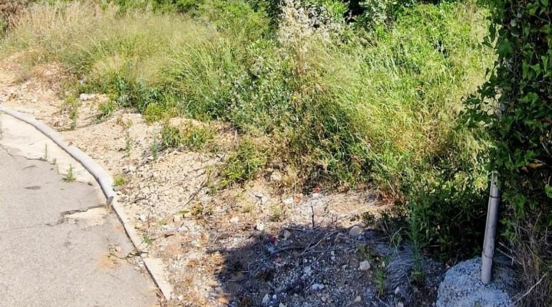 Alicante - Dolores - 1356m2