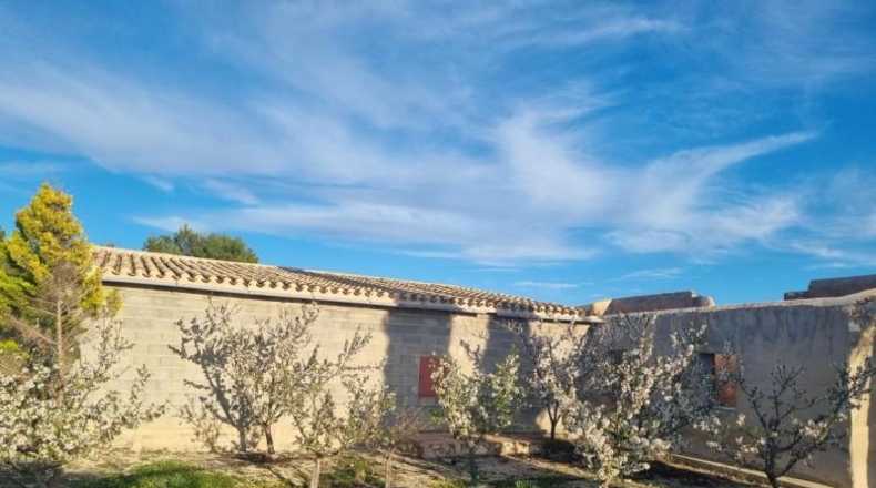 Múrcia - Cieza - 12200m2
