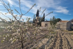 Cieza 12200&nbsp;m² 
