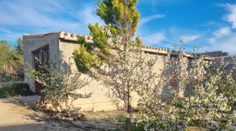Múrcia - Cieza - 12200m2