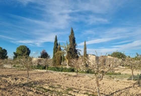 Cieza 12200&nbsp;m² 