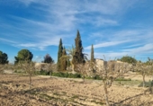 Casa de camp amb terreny en venda a la España, Cieza, ref.: TR414057 foto