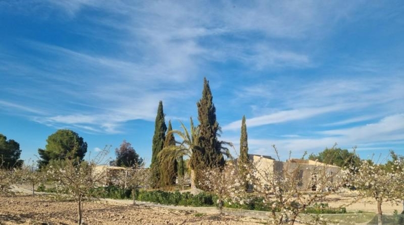 Múrcia - Cieza - 12200m2