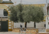 Suelo urbano en venta en la España, Salteras, ref: TR125736 foto