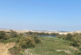 Sanlúcar de Barrameda 800&nbsp;m²