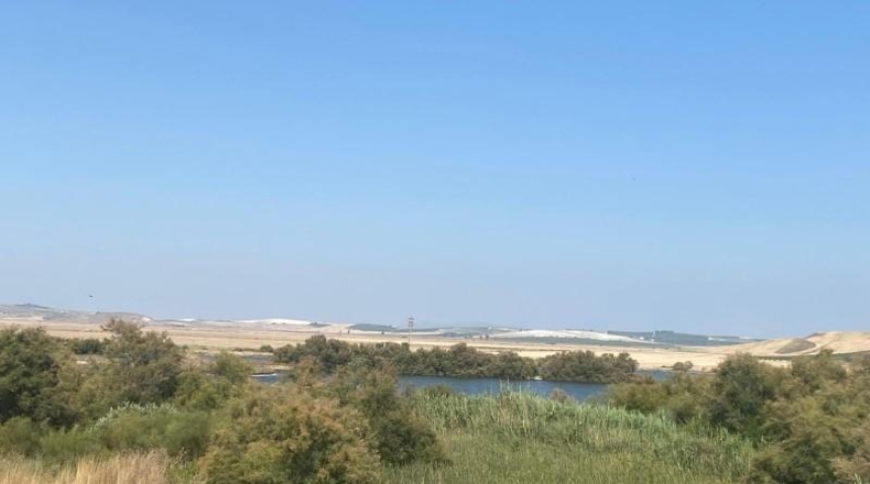 Cádiz - Sanlúcar de Barrameda - 800m2