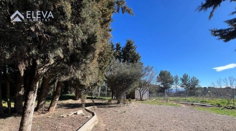Lérida - Alpicat - 965m2