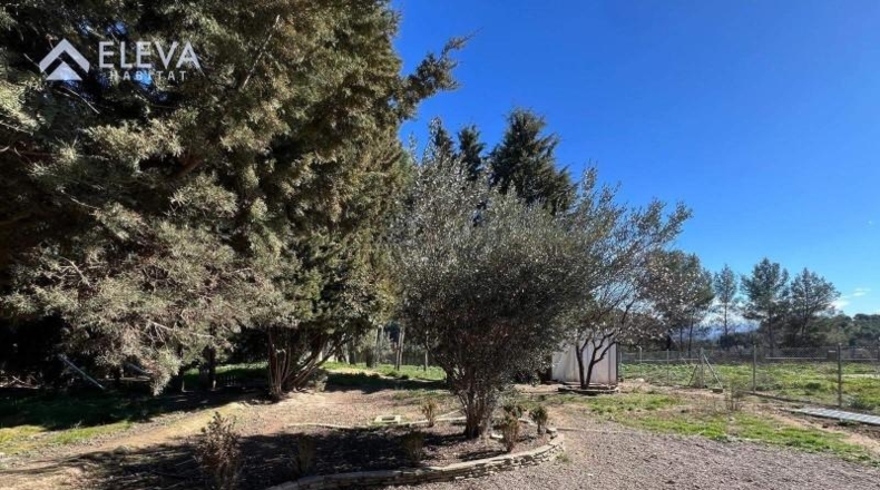 Lérida - Alpicat - 965m2