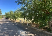 Sòl urbà en venda a la España, Nuez de Ebro, ref.: TR414072 foto