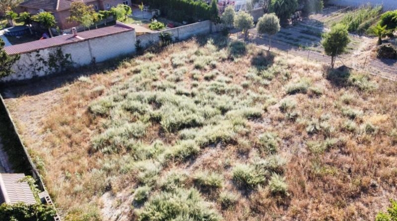 Zaragoza - Nuez de Ebro - 1081m2