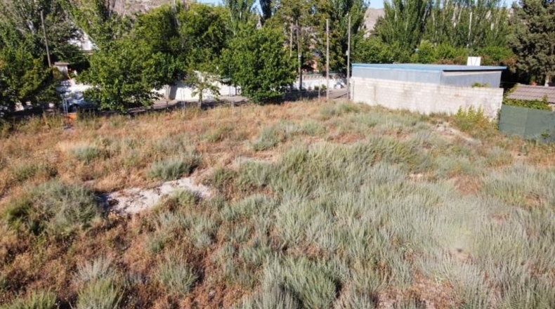 Zaragoza - Nuez de Ebro - 1081m2
