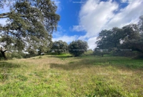 Almonaster la Real 1956&nbsp;m²