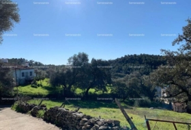 Almonaster la Real 1956&nbsp;m²
