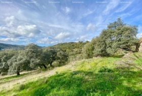 Almonaster la Real 1956&nbsp;m²